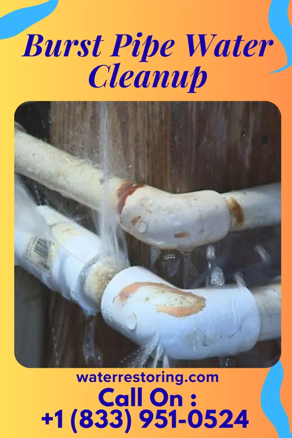 Burst Pipe Water Cleanup in Nelson, IL
