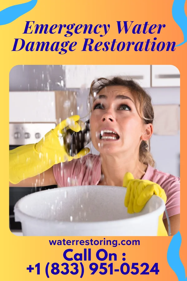 Emergency Water Damage Restoration in Nelson, IL
