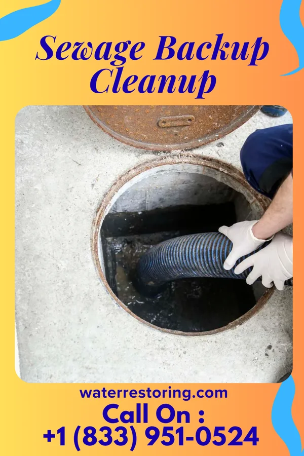 Sewage Backup Cleanup in Nelson, IL