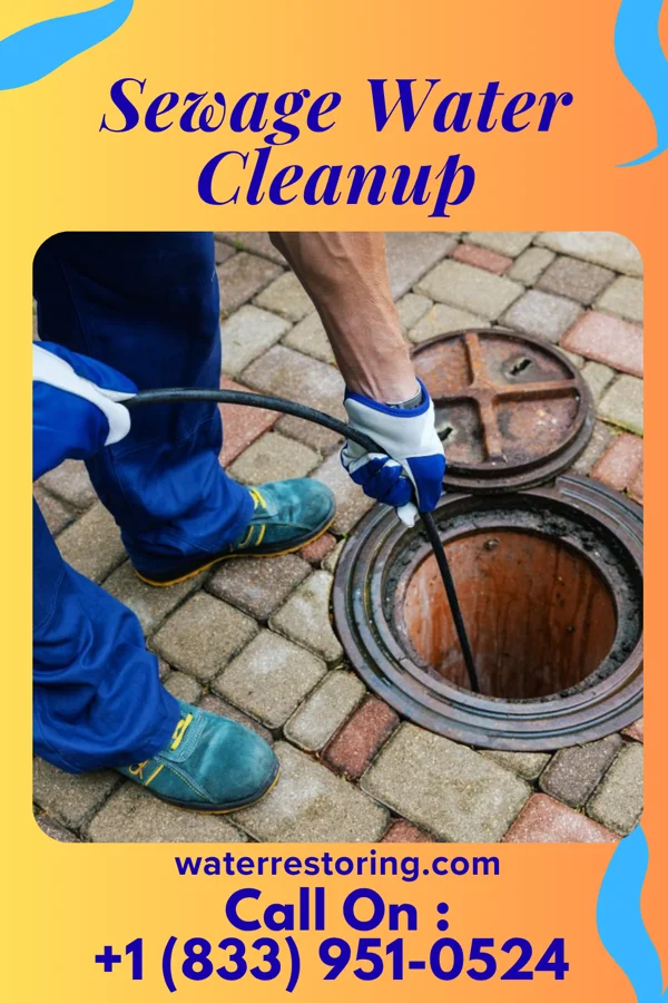 Sewage Water Cleanup in Nelson, IL
